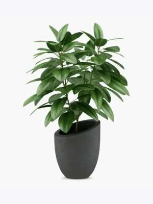 Product image 1 optimized